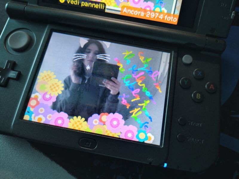 Foto al new 3DS che visualizza una foto scattata prima, con lo specchio come ho detto, varie decorazioni del filtro Graffiti, e una scritta col pennarello arcobaleno "catgirl in the bathroom, more likely than you think"